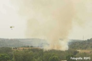 Helicòpters dels bombers participant a l'extinció