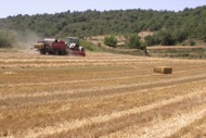 Torà: Embaladora de palla  Ramon Sunyer