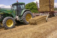 Torà: Recollida automàtica de bales  Ramon Sunyer