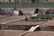 Torà: Cultivant l'hort
  Ramon Sunyer