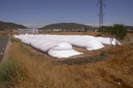 Torà: Noves formes de guardar el cereal, sitges de plàstic  Ramon Sunyer