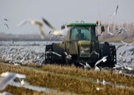 exposició Catalunya terra pagesa                                                                                                   