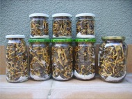 Conserva de bolets assecats