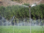 Regadiu per aspersió