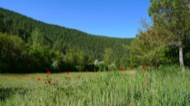 Llanera: Vall del riu llanera. Un indret ple de colors i llum  Xavier Sunyer