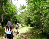 Ardèvol: L'obaga d'Ardèvol  Xavier