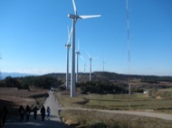 Parc eòlic del Tallat