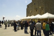 Pinós: Plaça de la Fira 2008  Susanna Altarriba