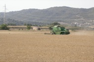 Torà:   Ramon Sunyer