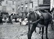 Torà: Fira de sant Andreu a la plaça del Vall (1914) 