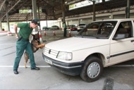 Six, un pastor alemany, està ensinistrat per assenyalar els llocs on hi ha paper moneda