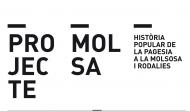 Projecte Molsa