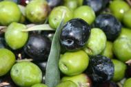 Olives arbequines