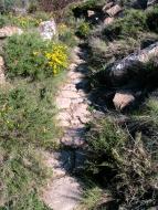 L'Aguda: El camí­ original tenia molts trams empedrats  isidre sunyer