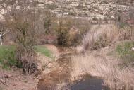 Torà: El riu Llanera  Ramon Sunyer