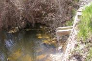 Torà: l'aigua de la Font va a parar al riu Llanera  Ramon Sunyer