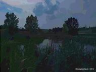 Solsona: Observatori de la natura de les Basses de Brics  Josep Gatnau