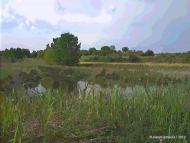 Solsona: Brics  Josep Gatnau