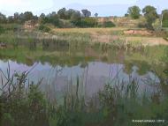 Solsona: Brics  Josep Gatnau