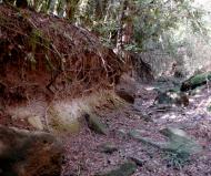 Torà: Mes d'octubre de 2012. La llera del Llanera seca.  Xavier