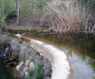 : 18 Abril 2013. Les primeres pluges vessen la peixera de Fontanet  Xavier