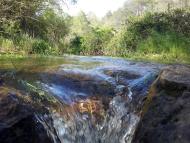 : 4 de maig, el llanera sota Miralles  Xavier