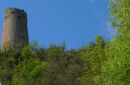 : Maig 2013.Les abundants pluges omlpen de verdor Vallferosa  Xavier