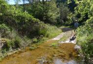 : 25 maig. Riera de Vallferosa abans del toll del Amic  Xavier