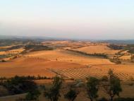 Massoteres: Els camps de cereals vistos des de Massoteres a Torrefeta  Josep Vilaró