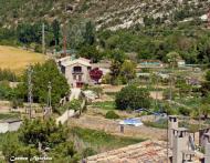 Torà: Cal Porta des de la meva finestra  Carmen Aparicio