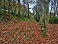 : La Tardor a Torá  Carmen Aparicio