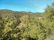 Torà: Paisatge del Llanera  Ramon Sunyer