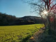 Torà: Els sembrats a la primavera  Ramon Sunyer