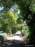 : Vall de Cellers  Josep Gatnau