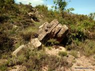 : Vall de Cellers  Josep Gatnau