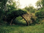Torà: antic aqueducte  Elena Cuñé