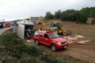 Els Bombers treuen els animals del camió accidentat