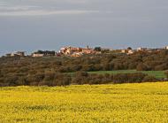 Coscó: Panoràmica del poble 