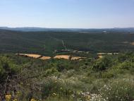 Claret: vista de la vall de Cellers  Grans Reptes