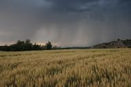 Torà: la tempesta s'atansa  Ramon Sunyer