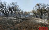 Incendi forestal a Biosca