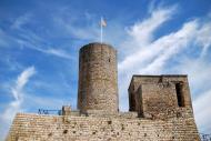 Boixadors: Castell i la torre  Ramon Sunyer