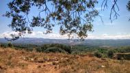 Vallferosa: paisatge  Ramon Sunyer