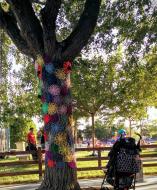 Torà: Festa inflables a les piscines  Ramon Sunyer