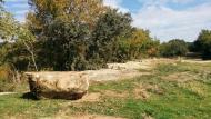 Llanera: Paisatge de tardor  Ramon Sunyer