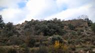 Vilanova de l'Aguda: Castell de Valldàries  Ramon Sunyer