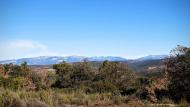 Lloberola: el pre Pirineu  Ramon Sunyer