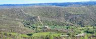 Cellers: monestir  Ramon Sunyer