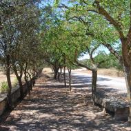 Guardiola: Ermita Sant Magí  Ramon Sunyer