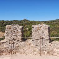 Vallferosa: Torre  Ramon Sunyer